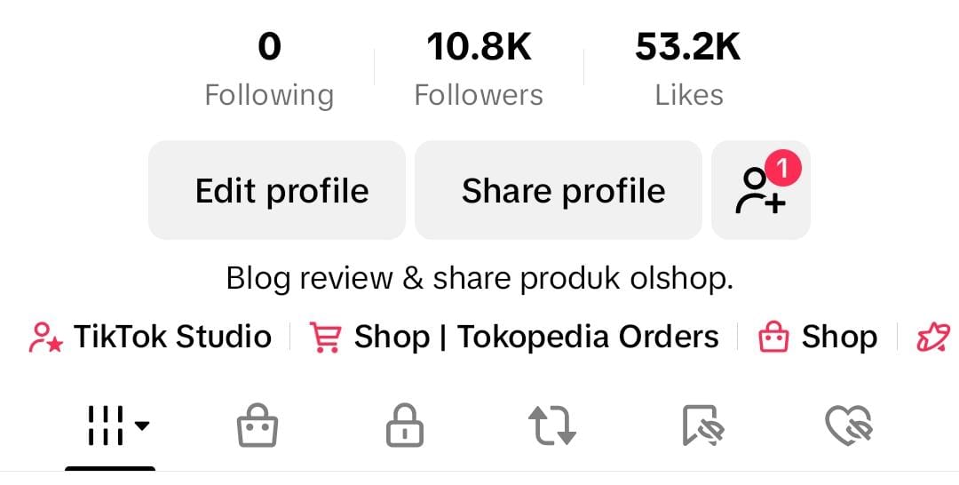 TIKTOK PRIBADI