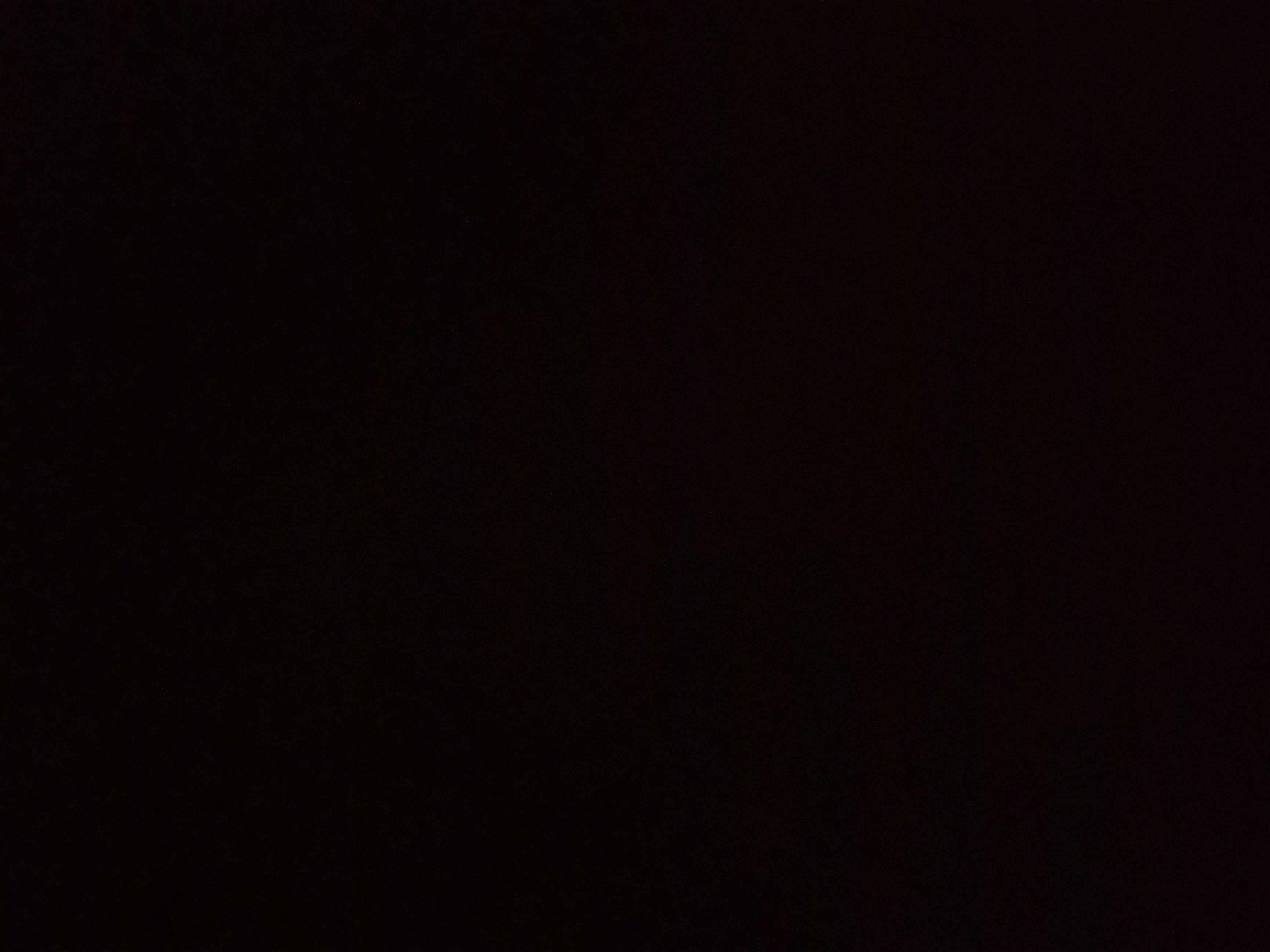 Foto Profil
