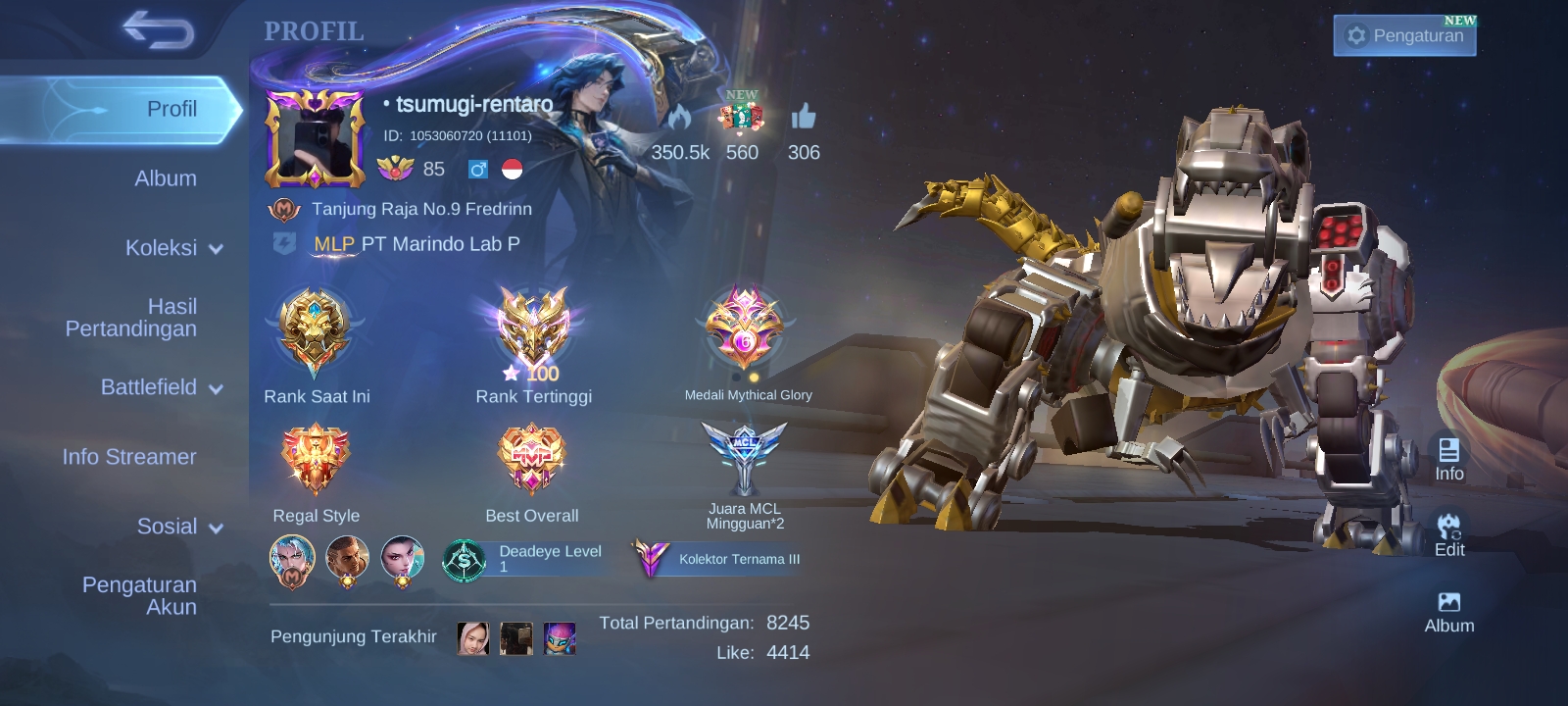 Foto Profil